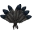Harpyienfeder
