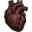 Harpyienherz