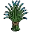 Managras